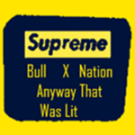 🤑 Bull XX Nation 🤑