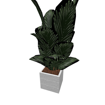 Modern Plant