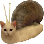 Le french snails