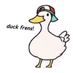 duck frens!