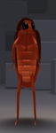 WHY AM I A ROACH
