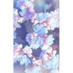 The flowers and aesthetic