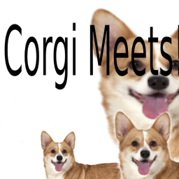 Corgi Meeting Place