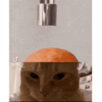 GOR(E)
