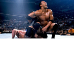the WWE for life show