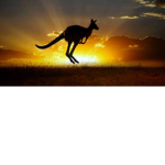 Aussie boys and girls