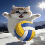 Cross Ball Community