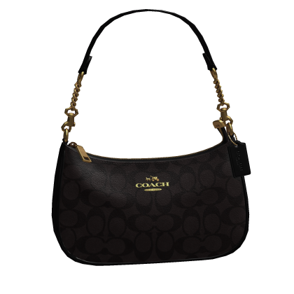 Coach Teri Shoulder Bag Brown