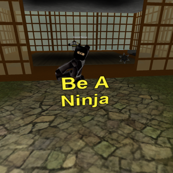Ninja World