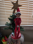 Elf on the shelfs