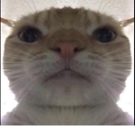 Bruh b_b
