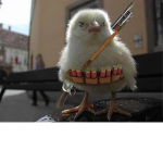 chickeny