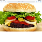 Burger grump