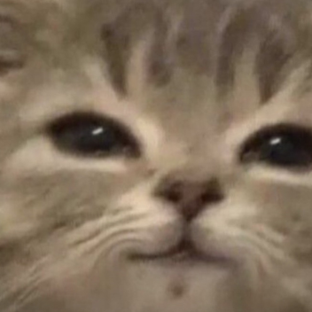 :3