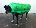 Gucci Gucci Luchi