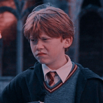 ~The Potterheads~