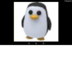 Panda and penguin squad
