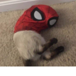 Teman Aku