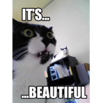 CATS GEEBEEZCAT WIRD STUFF AND FRIENDSHIP TOLITS a