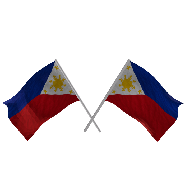 Philippines Double Flag