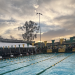 swimm>