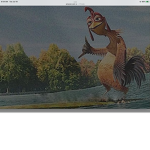 Chicken Joe Gang