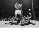 Andoposio boxing