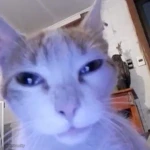 Hxney Homestore Group Thumbnail