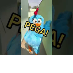 pega as minha galinhas