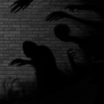 Qions Order