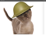 Kitty army roblox