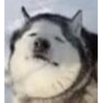 Seto's Stash