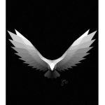 La team des ailes971