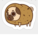 ~ pup-tato squad ~