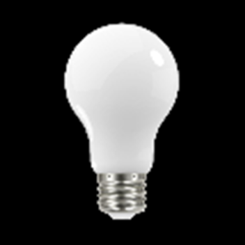 Light bulb 
