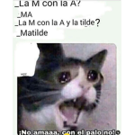 Grupo RANDOM JSJSJS