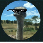 NotMrOstrichDeveloping
