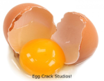 Egg-Crack Studios