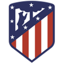 Atlético Madrid Match Pitch