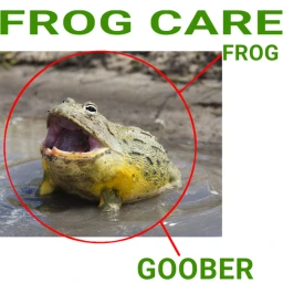 Frog Care icon