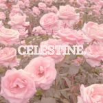 celestine.