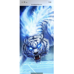 XTIGER CREW