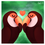 Toucan Nation