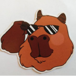 Bonde dos Capivara