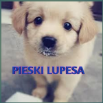 PIESKI LUPESA