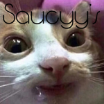 Saucyy's
