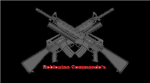 The Robloxian Commando's