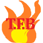 the fire burner's
