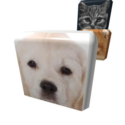 pets