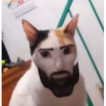 ELyoshi
